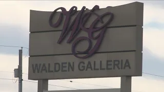 Walden Galleria store lawsuits