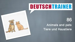 German for beginners (A1/A2) | Deutschtrainer: Animals and pets