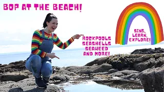 Bop at the Beach! Sing, Learn, Explore! | Educational videos for kids | BopTime