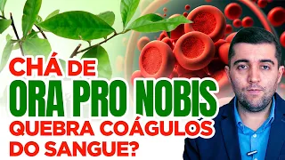 Ora pro nobis e má circulação: chá que afina o sangue limpa coágulos sanguíneos da trombose? Riscos?