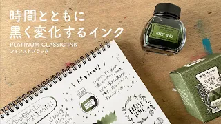 CLASSIC INK フォレストブラック forest black【万年筆インクレビュー】