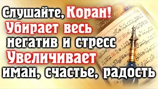 🎧 СЛУШАЙТЕ КОРАН - УБИРАЕТ ВЕСЬ НЕГАТИВ И СТРЕСС, УВЕЛИЧИВАЕТ ИМАН, СЧАСТЬЕ.  Красивое чтение корана