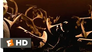 Pitch Black (6/10) Movie CLIP - Don't Stray From the Light (2000) HD