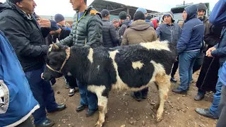 МОЛБОЗОРИ ШАХРИНАВ ПАЙШАНБЕ БОЗОР НАРХИ БУКАЧА ГНАЧИН ГУСФАНД ТАКА СЕРКА