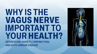 Why Is The Vagus Nerve Important To Your Health? | Polyvagal Theory