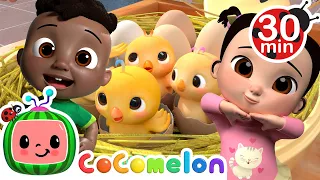 Numbers Song with Little Chicks | CoComelon Furry Friends | Animals for Kids