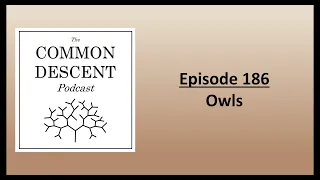 Episode 186 - Owls