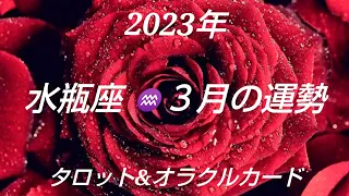 2023年3月《水瓶座》✨人生をとにかく楽しむ✨