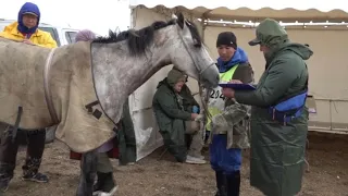 «Ұлы дала жорығы» бәйгесінің 5-ші күні аяқталды