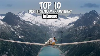 How dog friendly are European countries
