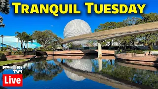 🔴Live: Tranquil Tuesday at Epcot - Walt Disney World Live Stream - 6-27-23