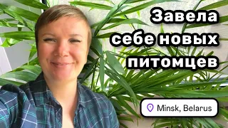 🌿 7. Завела себе новых питомцев, делаю себя счастливой! Куда бы отправиться погулять?