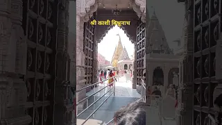 shree Kashi Vishwanath temple #varanasi