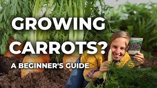 Growing Carrots: A Complete Guide: From Best Soil, Seeding to Harvesting