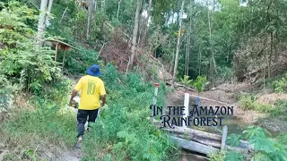 Visiting A Sítio In Manaus