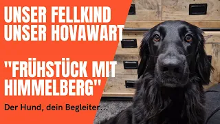 Guten Morgen - Unser Hovawart