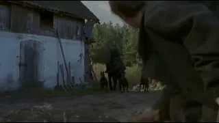 Dobermans in movie -- 40 -- Доберманы в кино