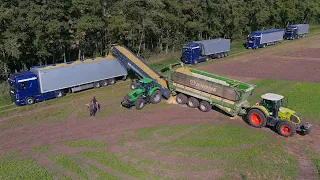 Mais 2023 : 2x Fendt 1050 | Krone BIG X 1180 |  Xerion 4200 | 9 Trucks | CH Bakumer Agrarservice |4K