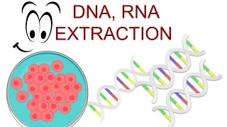 🧬 DNA and RNA EXTRACTION | Nucleic Acid Isolation | Adwoa Biotech