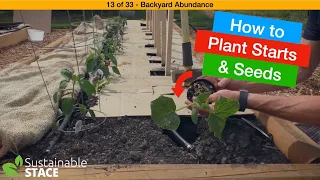 13 of 33 – Backyard Abundance – How to Plant Starts & Seeds