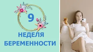 9 Неделя Беременности. Развитие плода и ощущения мамы