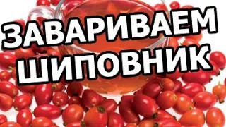 Как заваривать шиповник правильно. Заварить очень легко!