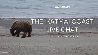 The Katmai Coast | Brooks Live Chat