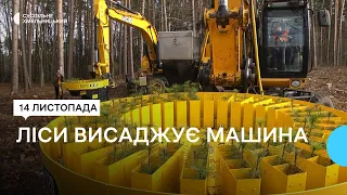 Фінські машини самі садять ліси Хмельниччини