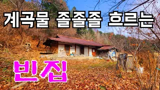 평창 시골마을 계곡 물 흐리고 아직도이렇게 좋은곳에 빈집 이 남아있네요 an empty house mountain village Korea 🇰🇷 ♥️