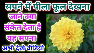 सपने में पीला फूल देखना,sapne me pila phool dekhna,seeing yellow flower in dream