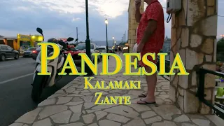 Pandesia Restaurant- Kalamaki, Zante