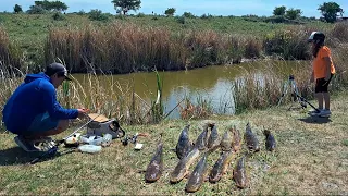 ESTE ARROYO EXPLOTA DE PESCADOS/ IMPRESIONANTES BAGRES PICARON!