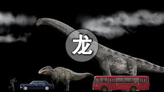 體長30米的恐龍到底有多大？用公交車做對比一目了然！【科學時光機】