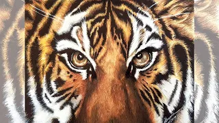 How to Draw a Realistic Tiger Face | Tiger Head Drawing Tutorials