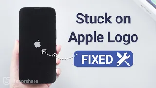 🔥Fixed: iPhone Flashing Apple Logo After Water Damage (No data loss)