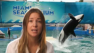 Should they Release Lolita the Killer Whale after 50 years of Captivity?