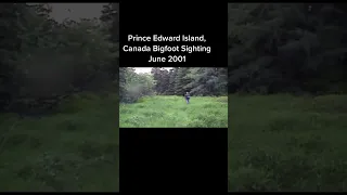 Rare Footage of Bigfoot in Prince Edward Island Canada