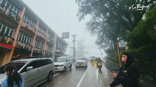 What the Fog? - Foggy Baguio Session Road Walking Tour