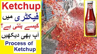 How Ketchup is Made in Factory - Process of Ketchup and Noodles