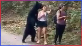 Damn Nature You Scary | Terrifying Bear Encounters Caught On Camera