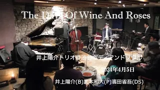 The Days Of Wine And Roses:【井上陽介トリオ】＠渋谷Body&Soul　井上陽介（b）武本和大（p）濱田省吾（ds）2024年4月5日