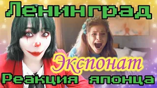 Ленинград reaction【Japanese】Экспонат  Реакция японца