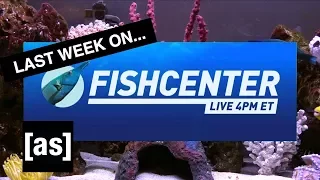 FishCenter Recap 7/31/17 | FishCenter | Adult Swim