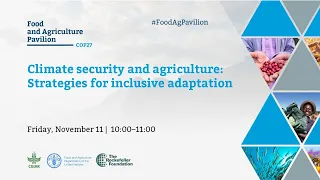 Climate security and agriculture: Strategies for inclusive adaptation