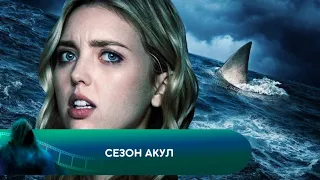 ТРИ МИЛИ ОТ БЕРЕГА И...! Сезон акул. Лучшие фильмы