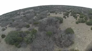 Warren Ranch Helicopter Hog Hunt 2016