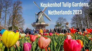 4K - Keukenhof Walking Tour, Netherlands 2023 - Garden of Europe | World's largest flower gardens