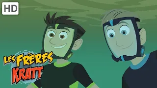 Les Frères Kratt |Café De L'Ornithorynque| Saison 1