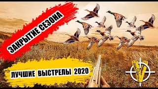 Лучшие выстрелы и попадания 2020 на охоте  и закрытие сезона