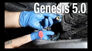 How To Genesis V8 Oil Change